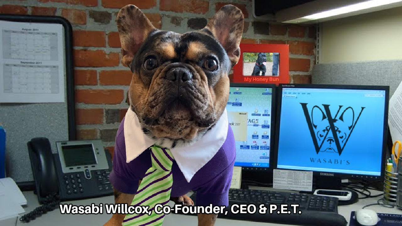 Wasabi at his desk wearing a purple shirt and green striped tie, with the caption Wasabi Willcox, Co-Founder, CEO and P.E.T.